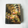 Custom Size Color Printing Hard Cover Double Spiral Notebook with LOGO SN-16