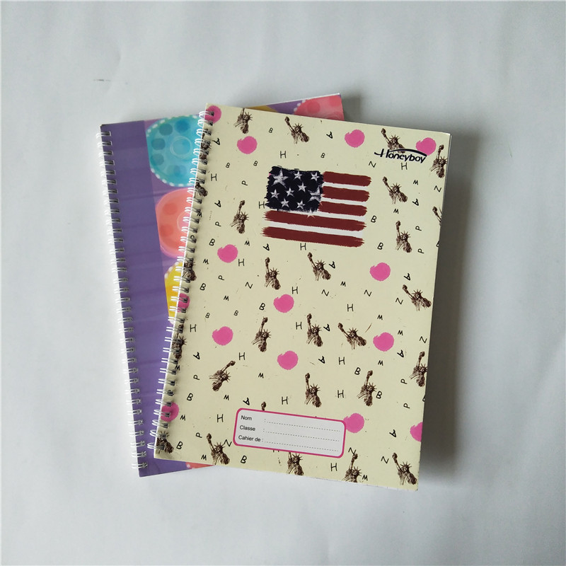 Best Selling Beautiful Designs A4 Size Double Spiral Notebook SN-5